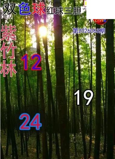 双色球2026年图迷063期 紫竹林红球三胆图