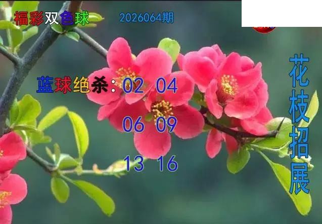 双色球2026年图迷064期 花枝招展蓝球绝杀图