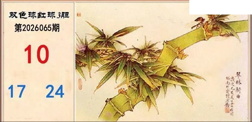 2026年065期双色球字迷图谜汇总