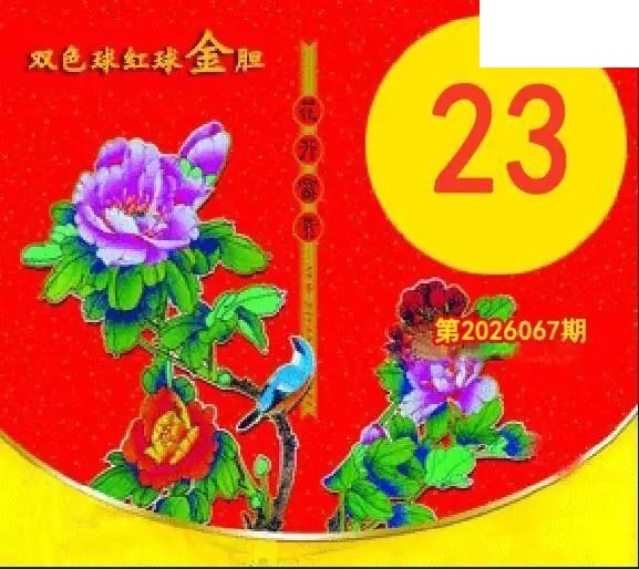 红球金胆26年067期双色球图谜